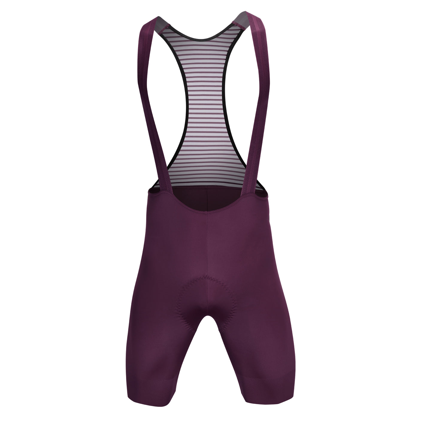 LIFTTINT 2.X BIB SHORTS – PURPLE